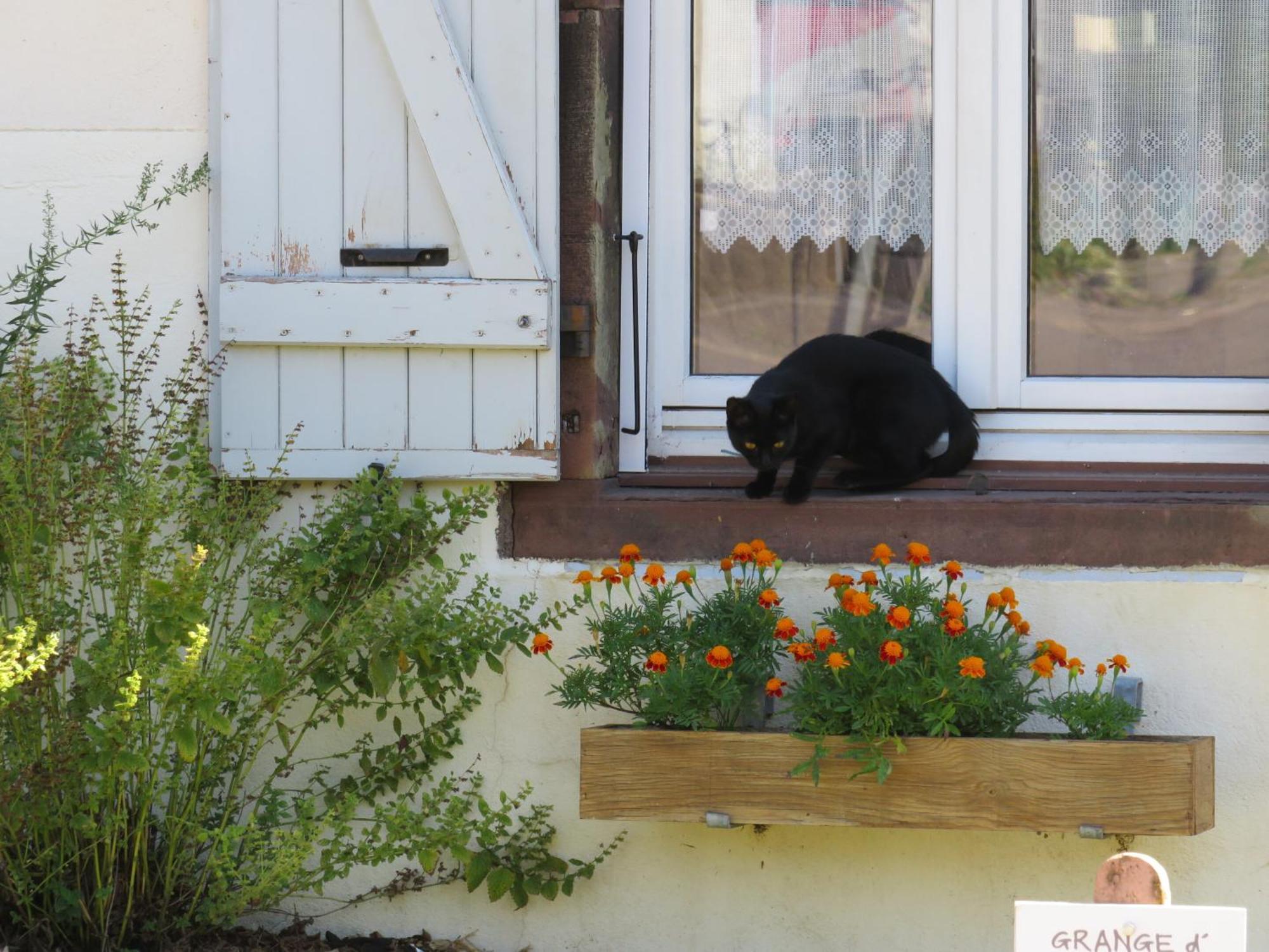 Grange D'Anjeux Bed & Breakfast Экстерьер фото